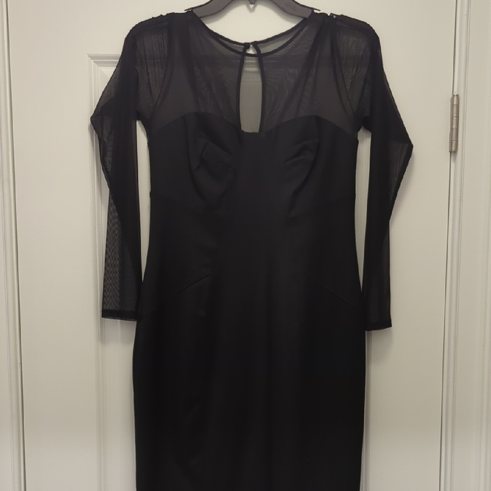 Maggy London Black Long Mesh Sleeve Dress